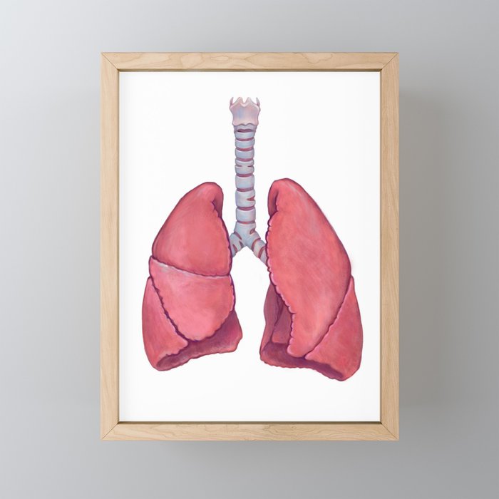 Human Anatomy Lungs Framed Mini Art Print