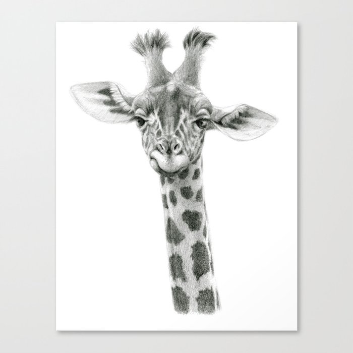 Young Giraffe  G2012-053 Canvas Print