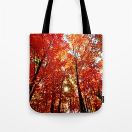 Sun in the Trees Tote Bag
