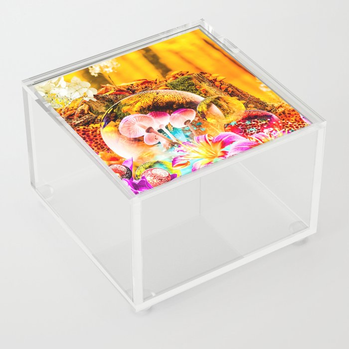 Outer World Forest Flowers Acrylic Box