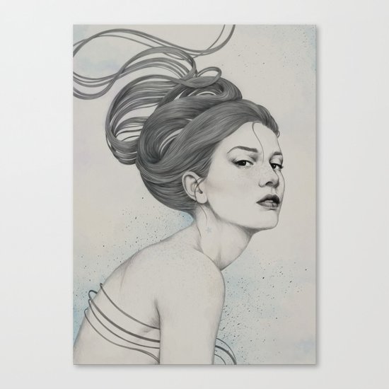 230 Canvas Print