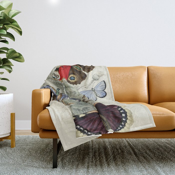 Vintage Butterfly Illustration by Oliver Goldsmith Throw Blanket