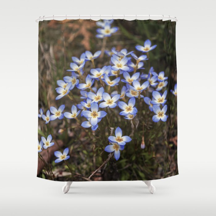 Wild Flowers Bluets Shower Curtain