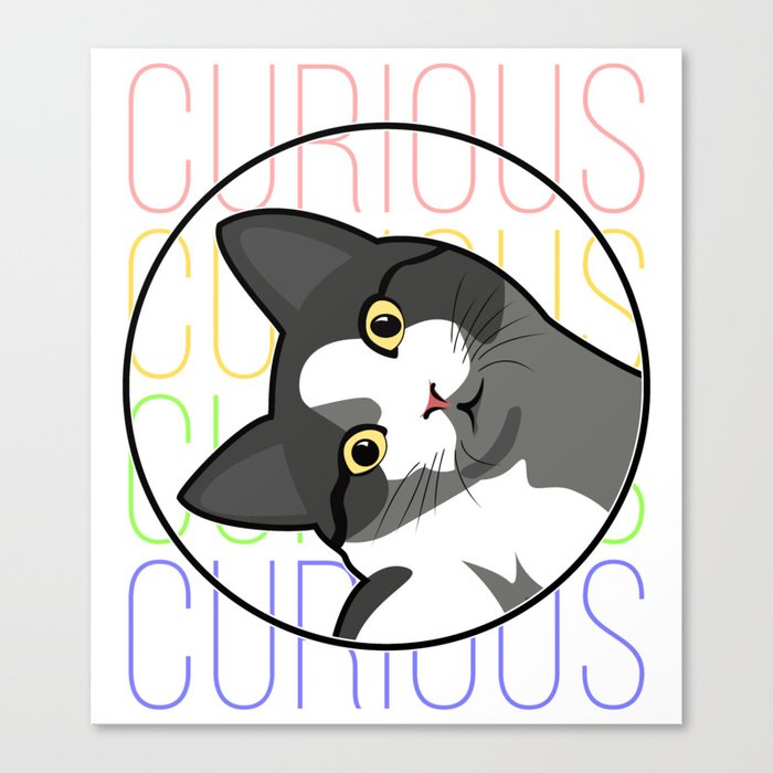 CURIOUS CAT 02 Canvas Print