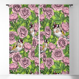 Pink Rose flowers and goldfinch birds Blackout Curtain