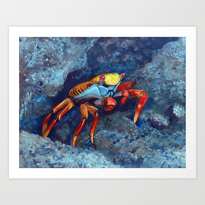 Sally lightfoot Crab Art Print