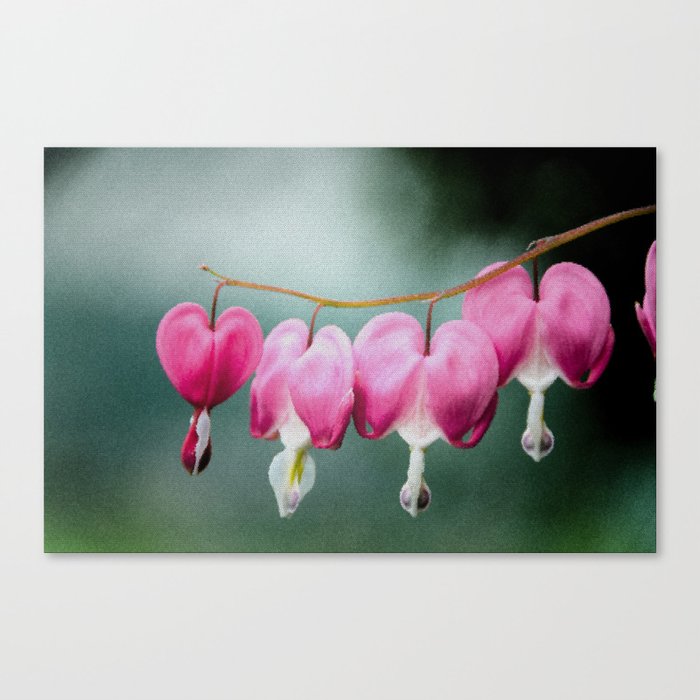 Be Still My Bleeding Heart Stained Glass Illustration Canvas Print