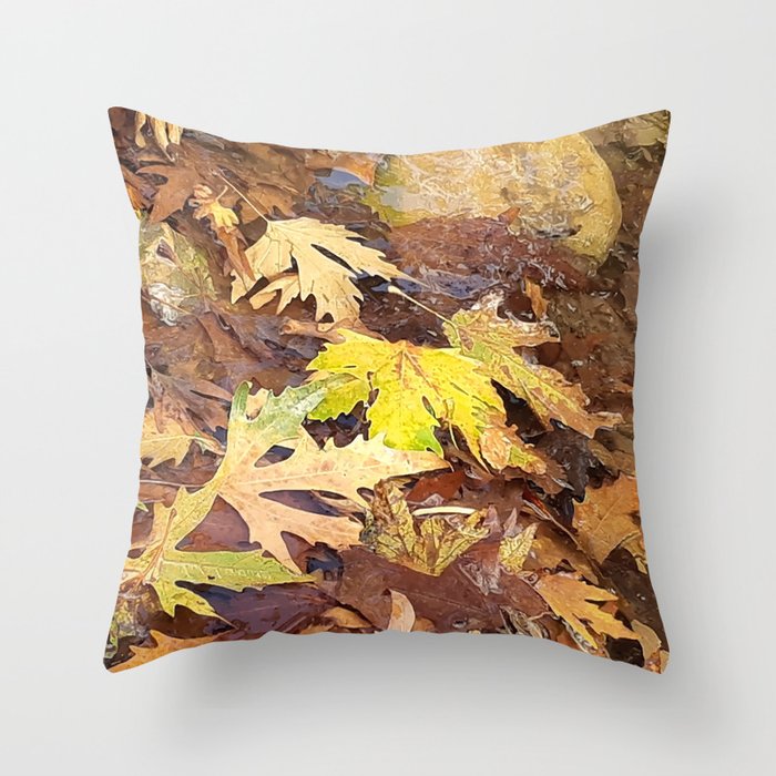 Fallen leaves floating in the river, 3, (Set of 3), fall, autumn, xmas, holiday, nature, forest, trees, winter, color, flowers, orange, art, botanical, leaves, leaf, floral, wet, rain, water, holidays, digital, spring, aqua, graphic-design, Throw Pillow