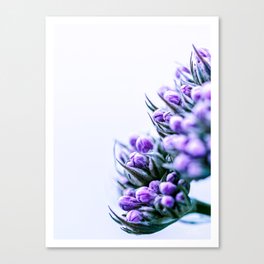Floral Photography "LIGHTHEARTED" Canvas Print