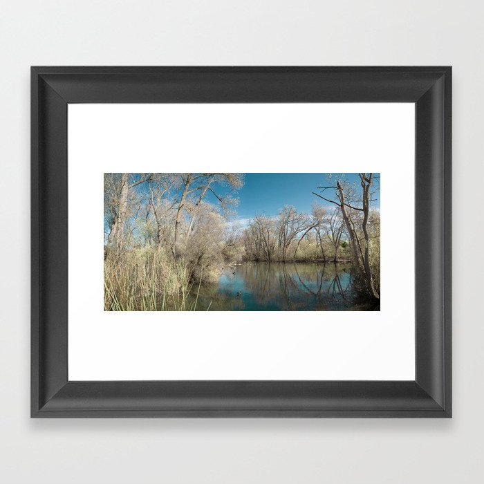 Pond Water Framed Art Print