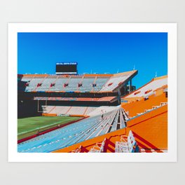 Gator Stadium, UF Art Print