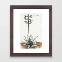 Century Plant (Agave) Framed Art Print