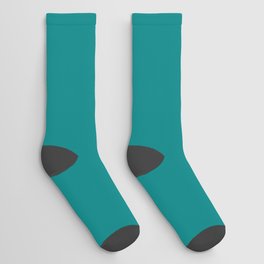 Teal Blue Green Solid Color Popular Hues Patternless Shades of Blue Collection - Hex #008080 Socks