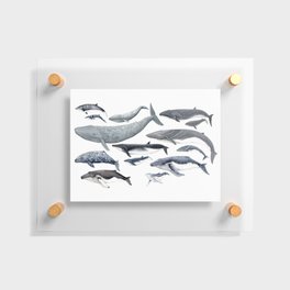 Whale diversity Floating Acrylic Print