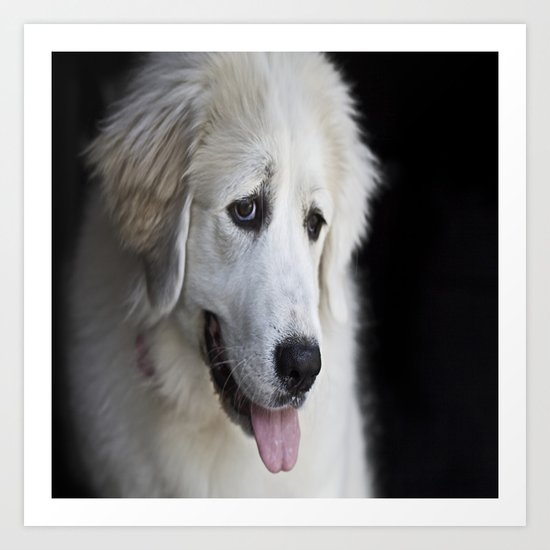 Great Pyrenees -Forest- Art Print