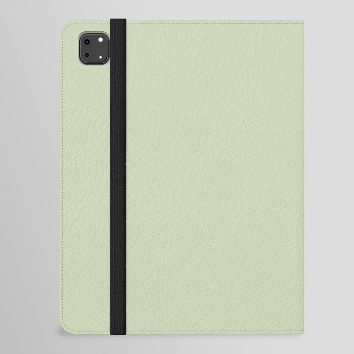 Spring Picnic Green iPad Folio Case