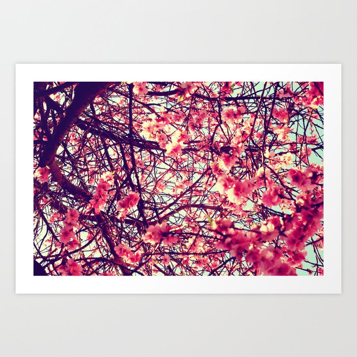 Blossom tree Art Print