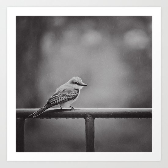 Endure Art Print