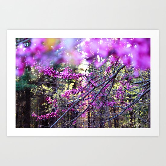 Fuchsia Dream Art Print