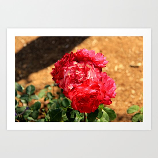 flowers again Art Print