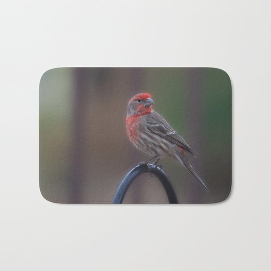 Pretty Bird - House Finch Bath Mat