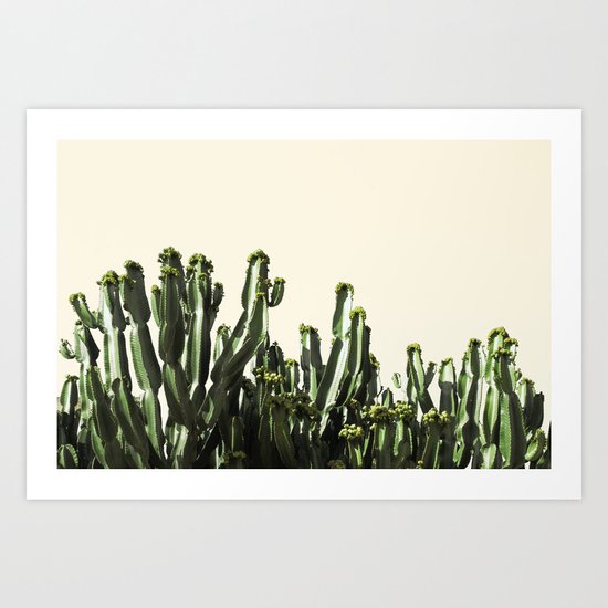 cactus nature VI Art Print