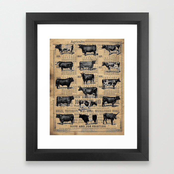Vintage 1896 Cows Study On Antique Lancaster County Almanac Framed Antique Lancaster County Almanac Framed