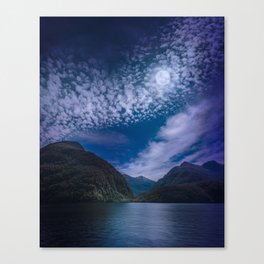 Moonlight at Doubtful Sound in New Zealand Canvas Print