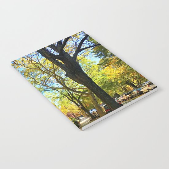 Cobble Hill Brooklyn New York in the Fall, Brownstones Notebook
