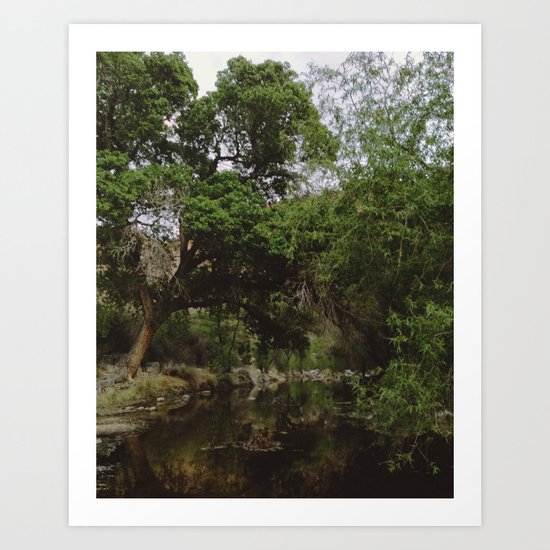 Sabino Canyon Creek Art Print