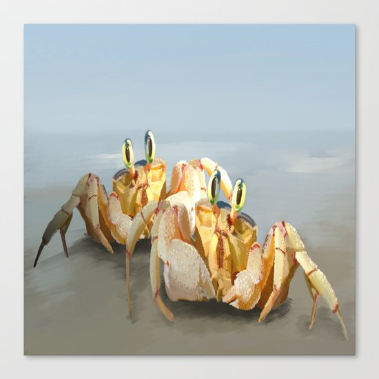 Two Pairs of Eyes Canvas Print