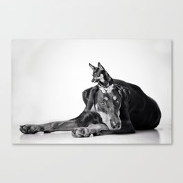 Best Buds - Dalmatian and Chihuahua Dogs Canvas Print