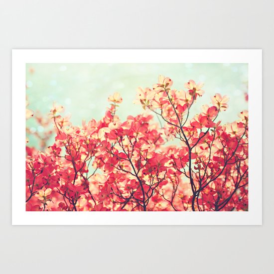 dogwood Art Print