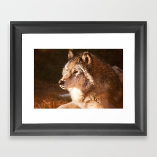 Wolf Beauty Framed Art Print