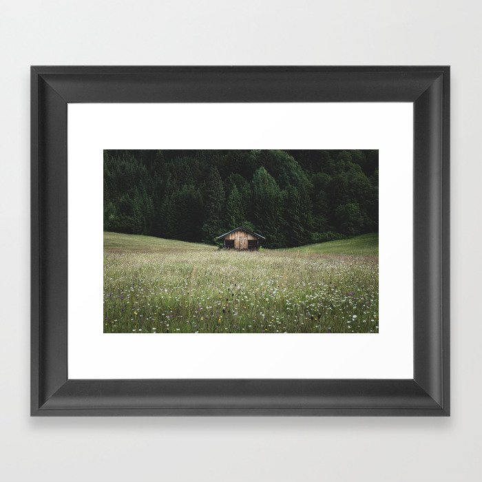 Alpine symmetry Framed Art Print