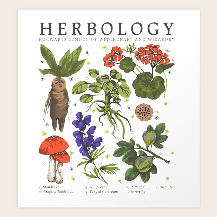 herbology Art Print by ompongalfina Society6
