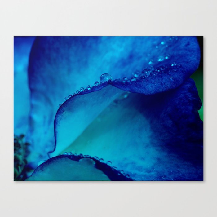 Ocean Waves Canvas Print By Irinawardas Society6