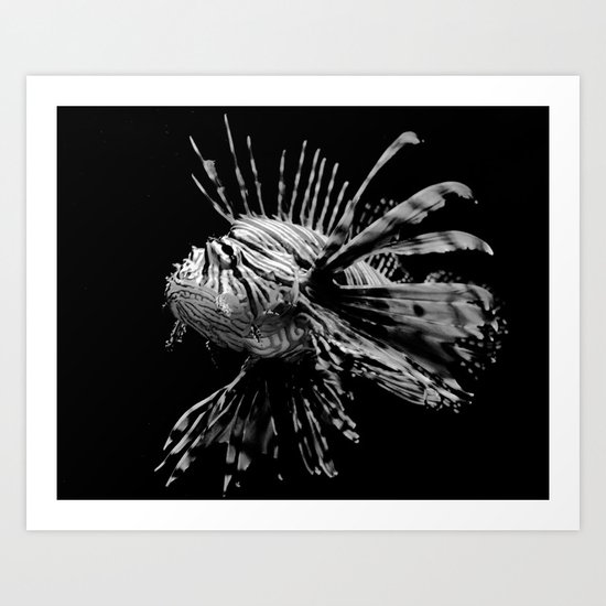 Lion Fish Art Print