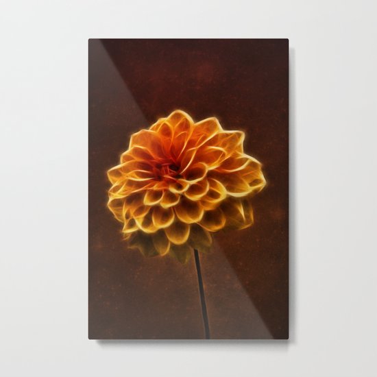 Dahlia Art Metal Print