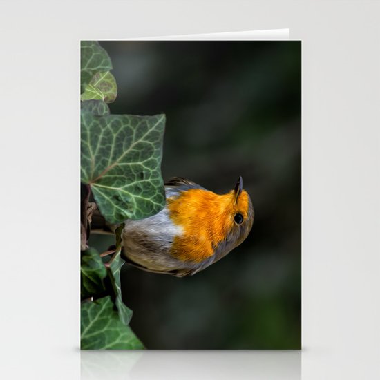 European Robin Stationery Cards