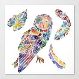 Owl and feathers  Canvas Print
