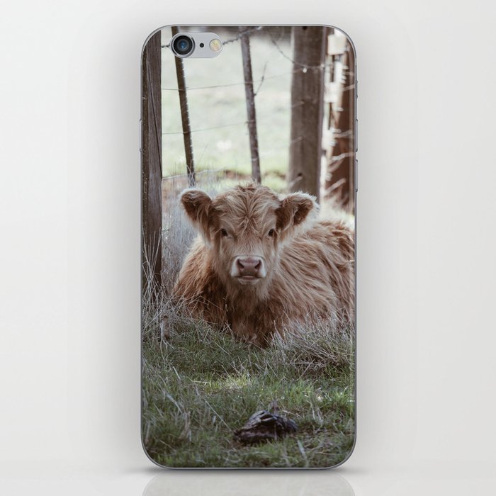 Highland Cow Calf iPhone Skin