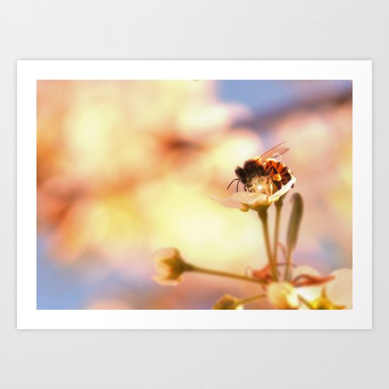 Honey herder Art Print