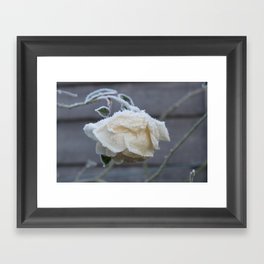 Frosted Rose Ice Flower W Framed Art Print