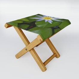 Blue lotus Folding Stool