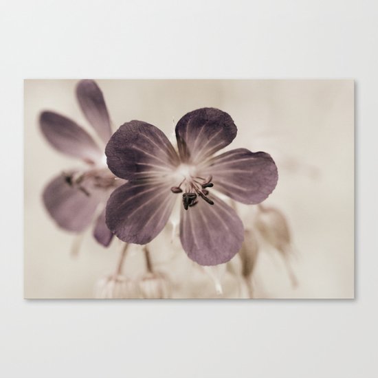 Melancholia 5073 Canvas Print