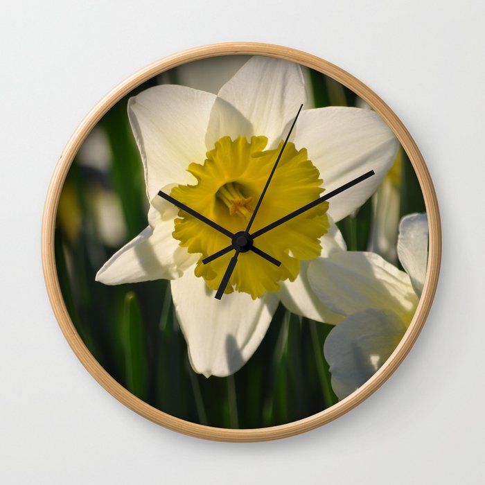 Daffodil  Wall Clock