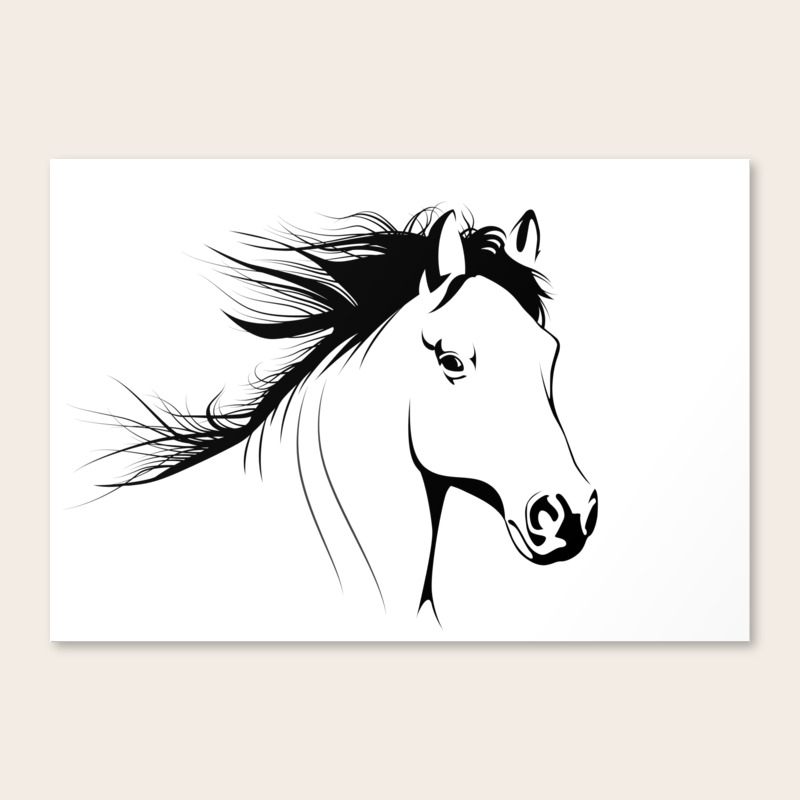 Simple Horse In Black White Animal Art Canvas Print By