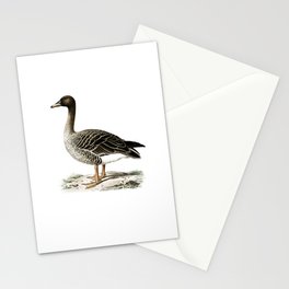 Vintage Bean Goose Bird Illustration Stationery Card