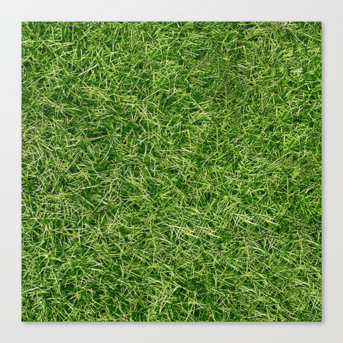 Grass Textures Turf Canvas Print